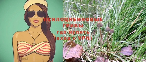 дмт Вязьма