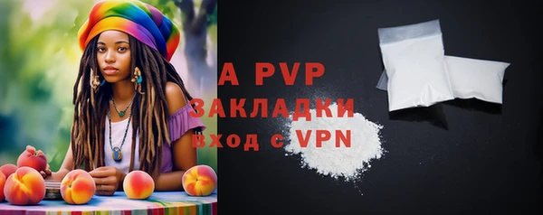 индика Киров