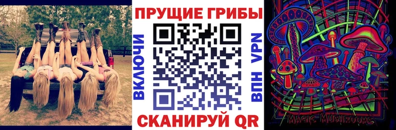 hydra ТОР Данилов Псилоцибиновые грибы Psilocybine cubensis что такое